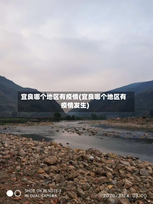 宜良哪个地区有疫情(宜良哪个地区有疫情发生)-第2张图片