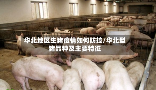 华北地区生猪疫情如何防控/华北型猪品种及主要特征-第3张图片