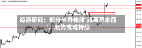 海港研究：部分半导体股‘脱离基本面’	，涨势或难持续-第2张图片