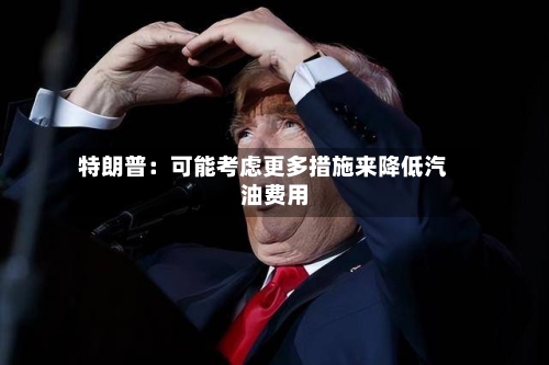 特朗普：可能考虑更多措施来降低汽油费用-第2张图片