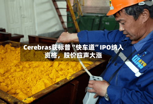 Cerebras获标普“快车道”IPO纳入资格，股价应声大涨
