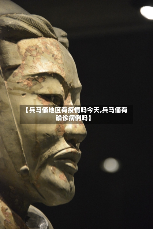 【兵马俑地区有疫情吗今天,兵马俑有确诊病例吗】