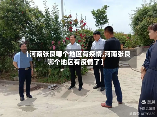 【河南张良哪个地区有疫情,河南张良哪个地区有疫情了】-第3张图片