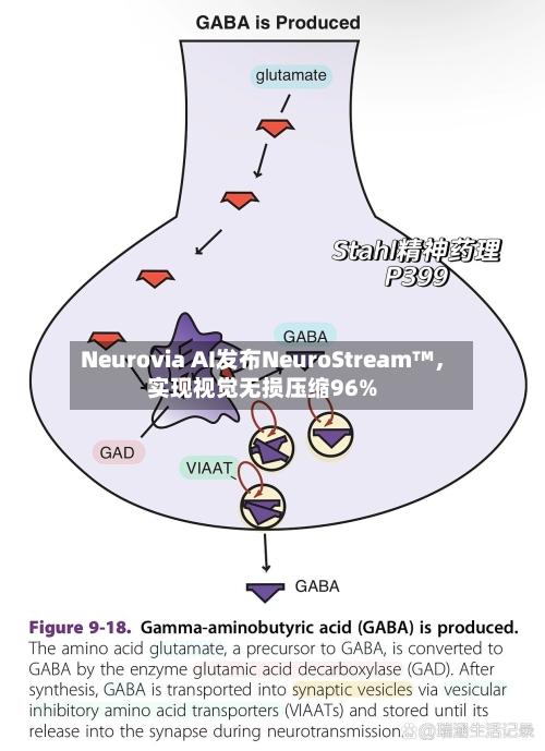 Neurovia AI发布NeuroStream™，实现视觉无损压缩96%