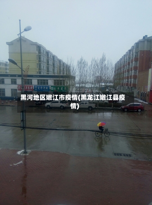 黑河地区嫩江市疫情(黑龙江嫩江县疫情)-第2张图片