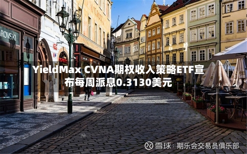 YieldMax CVNA期权收入策略ETF宣布每周派息0.3130美元