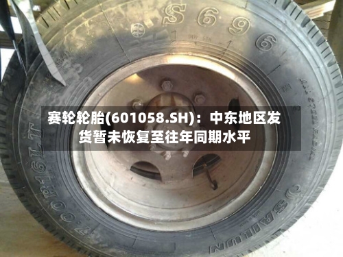 赛轮轮胎(601058.SH)：中东地区发货暂未恢复至往年同期水平