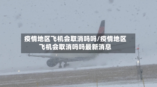 疫情地区飞机会取消吗吗/疫情地区飞机会取消吗吗最新消息-第2张图片