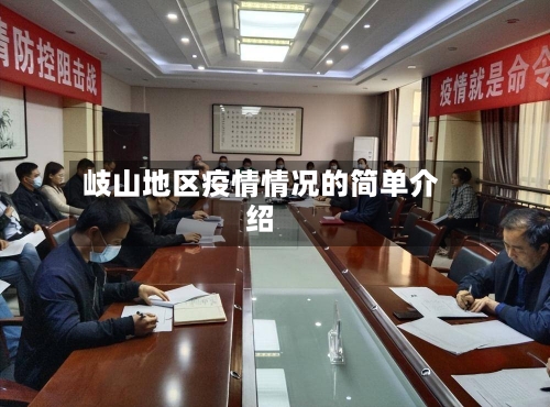 岐山地区疫情情况的简单介绍