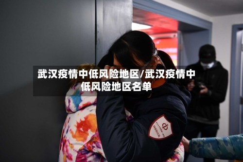 武汉疫情中低风险地区/武汉疫情中低风险地区名单
