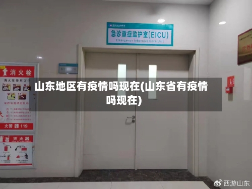 山东地区有疫情吗现在(山东省有疫情吗现在)