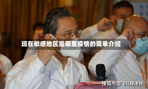 现在敏感地区是哪里疫情的简单介绍