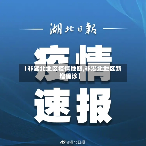 【非湖北地区疫情地图,非湖北地区新增确诊】-第2张图片