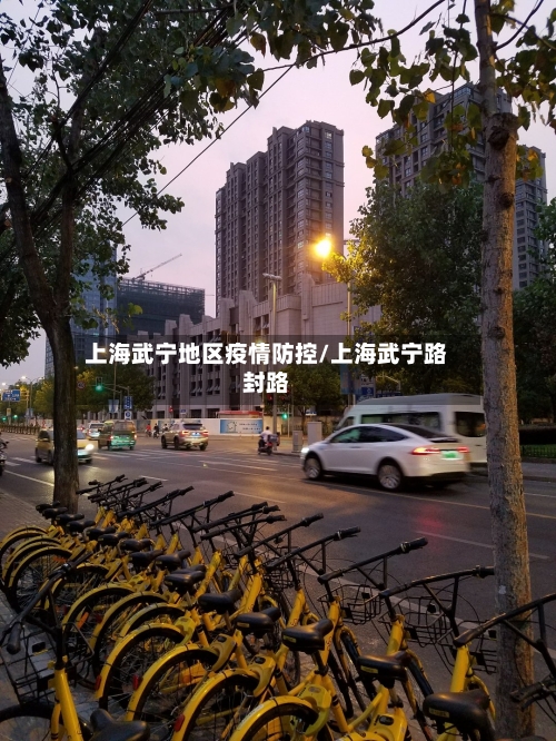 上海武宁地区疫情防控/上海武宁路封路