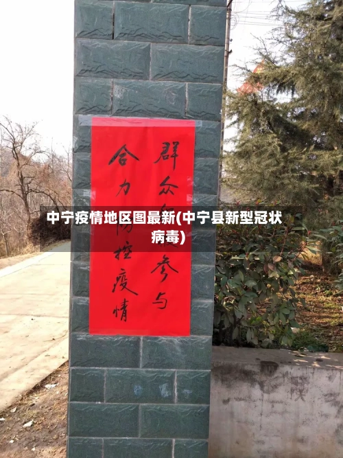 中宁疫情地区图最新(中宁县新型冠状病毒)-第2张图片