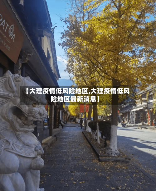 【大理疫情低风险地区,大理疫情低风险地区最新消息】-第3张图片