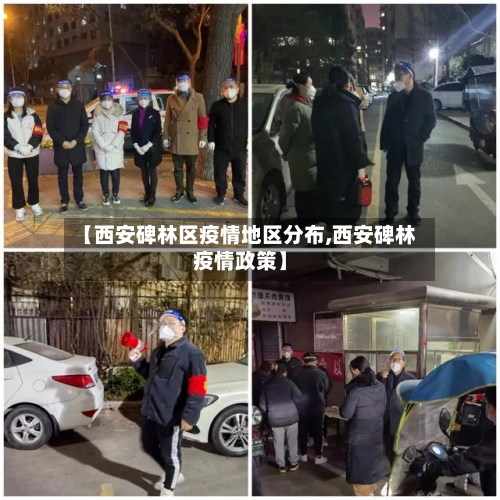 【西安碑林区疫情地区分布,西安碑林疫情政策】-第3张图片