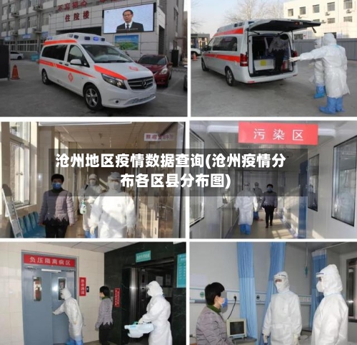 沧州地区疫情数据查询(沧州疫情分布各区县分布图)-第2张图片
