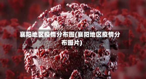 襄阳地区疫情分布图(襄阳地区疫情分布图片)-第2张图片