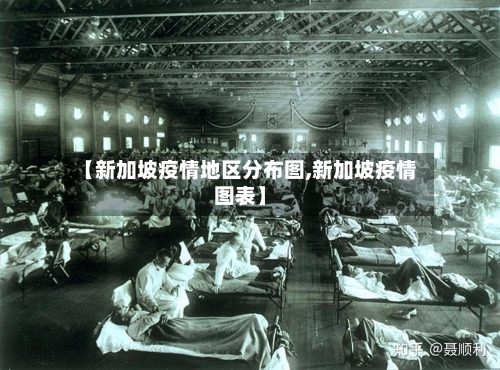 【新加坡疫情地区分布图,新加坡疫情图表】-第2张图片