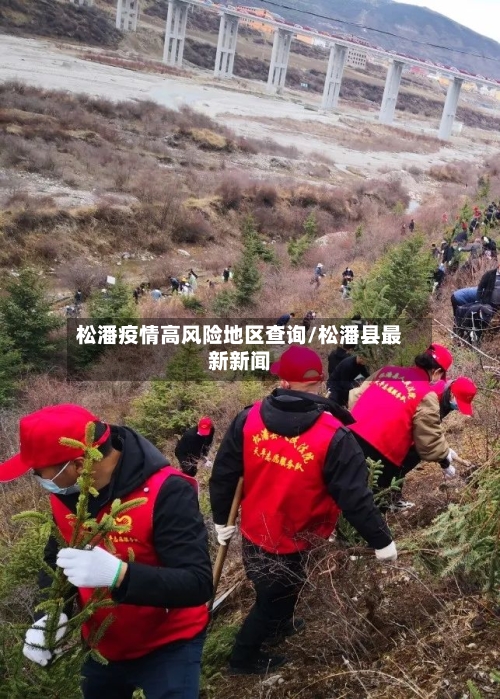 松潘疫情高风险地区查询/松潘县最新新闻-第3张图片