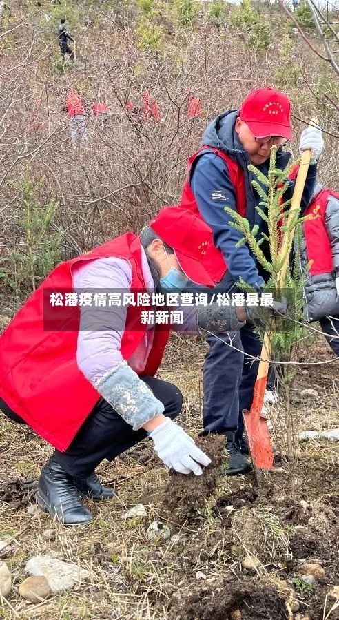 松潘疫情高风险地区查询/松潘县最新新闻